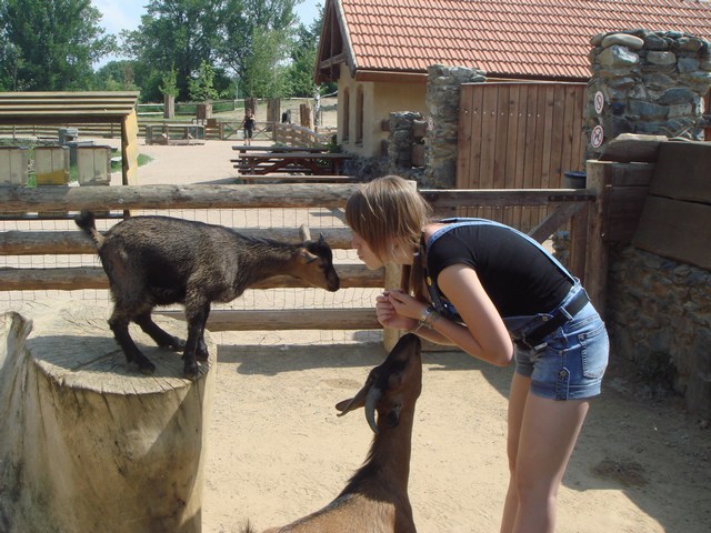 radka a kůzlata.JPG