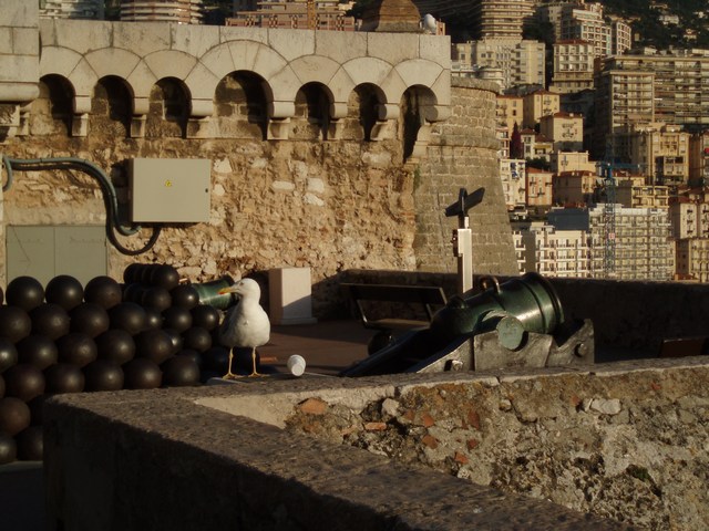 Monako-palác_1.JPG