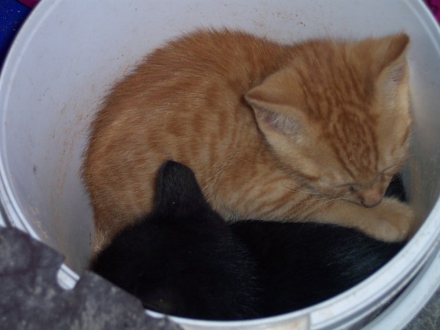 02_07_1.jpg
