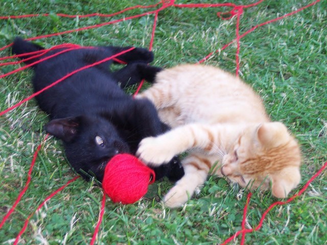 09_07_7.jpg