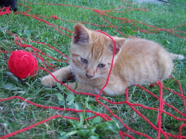 09_07_8.jpg