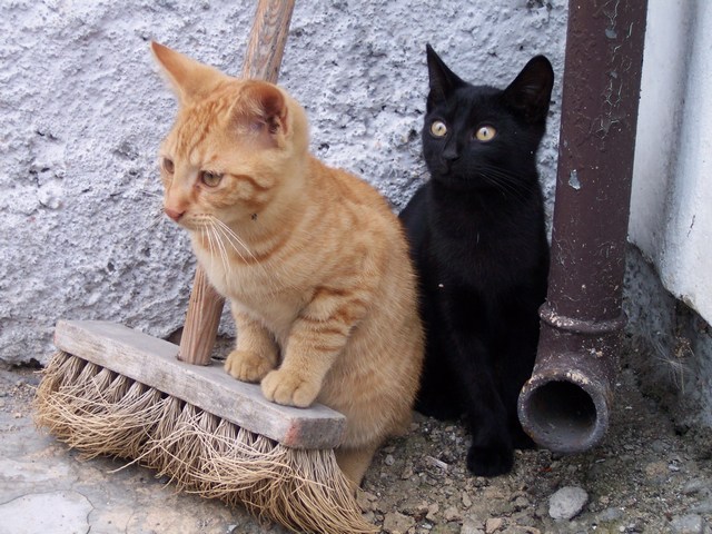 10_08_1.jpg