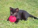09_07_4.jpg
