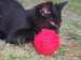 09_07_5.jpg