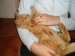 08_09_2.JPG