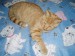 10_09_1.JPG