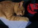 23_09_4.JPG